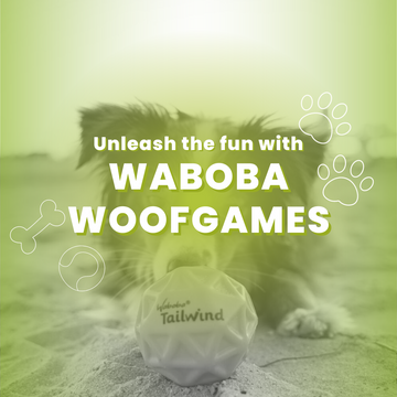 Where can I buy wholesale pet supplies?