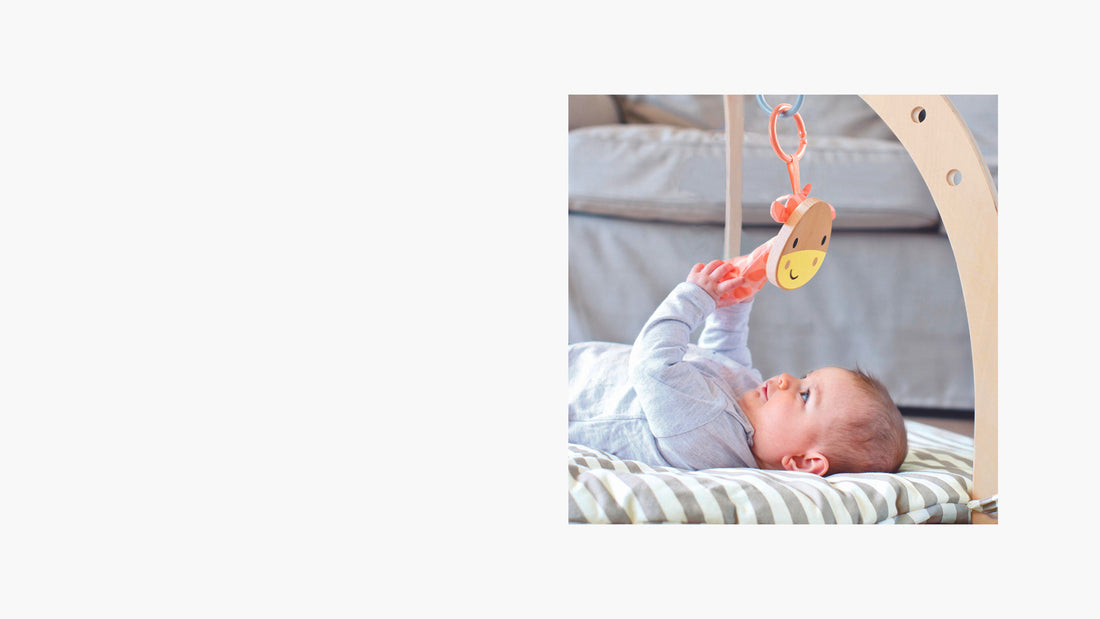 Sweetpea Importer and distributor for toys, games and gifts in NZ